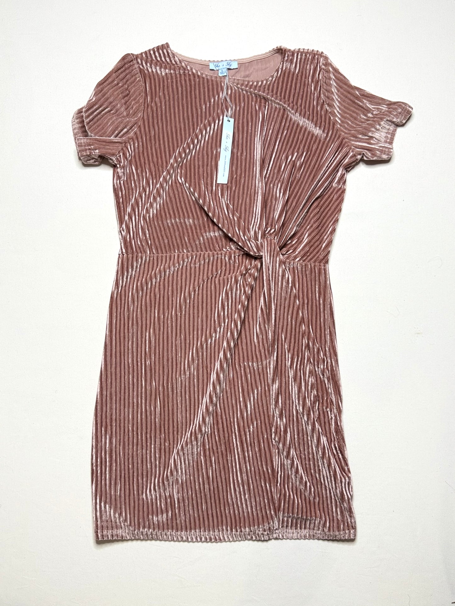 She+Skye Blush Pink Ribbed Corduroy Tie-Front Dress – Size L, NWT