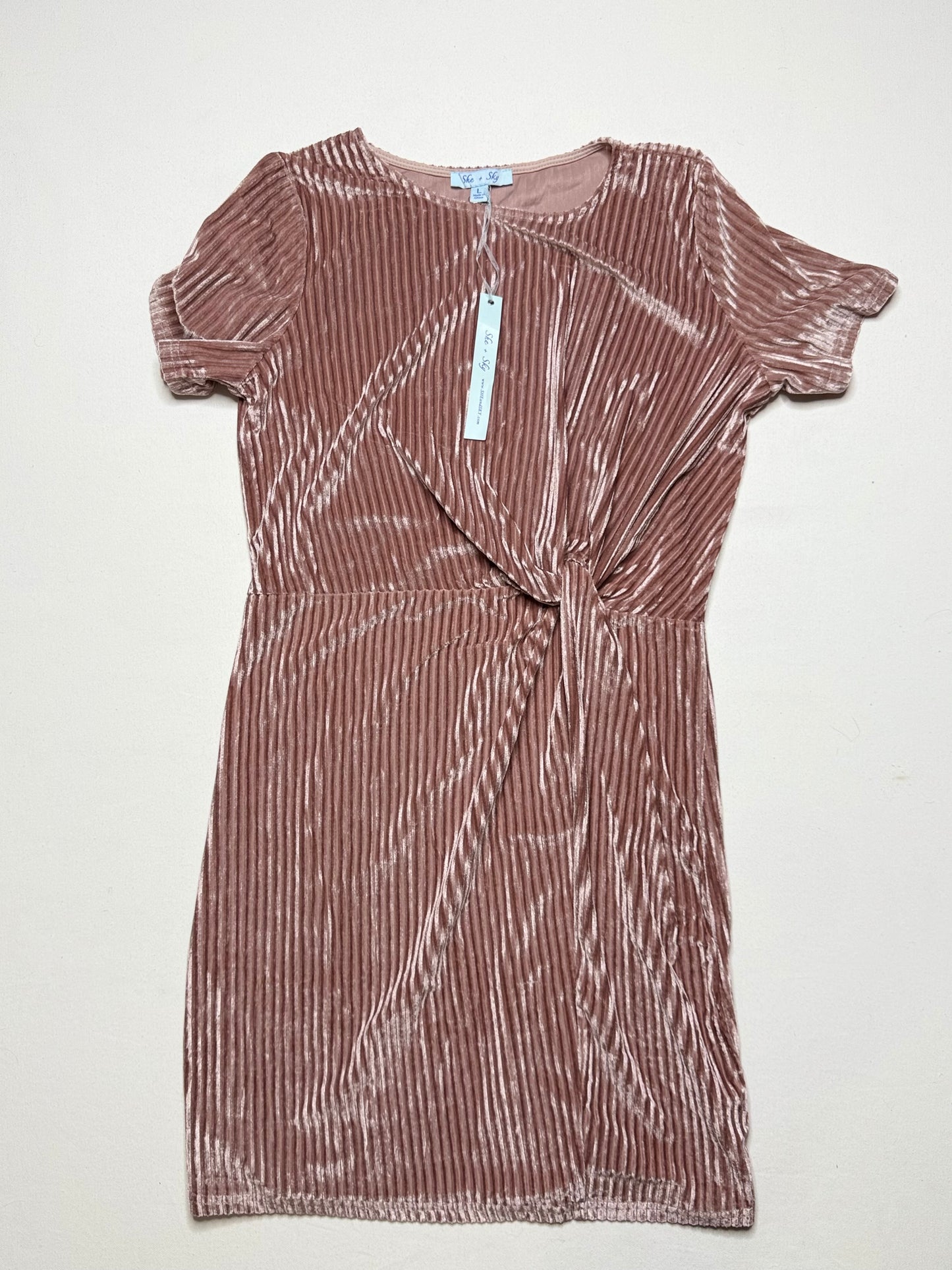 She+Skye Blush Pink Ribbed Corduroy Tie-Front Dress – Size L, NWT